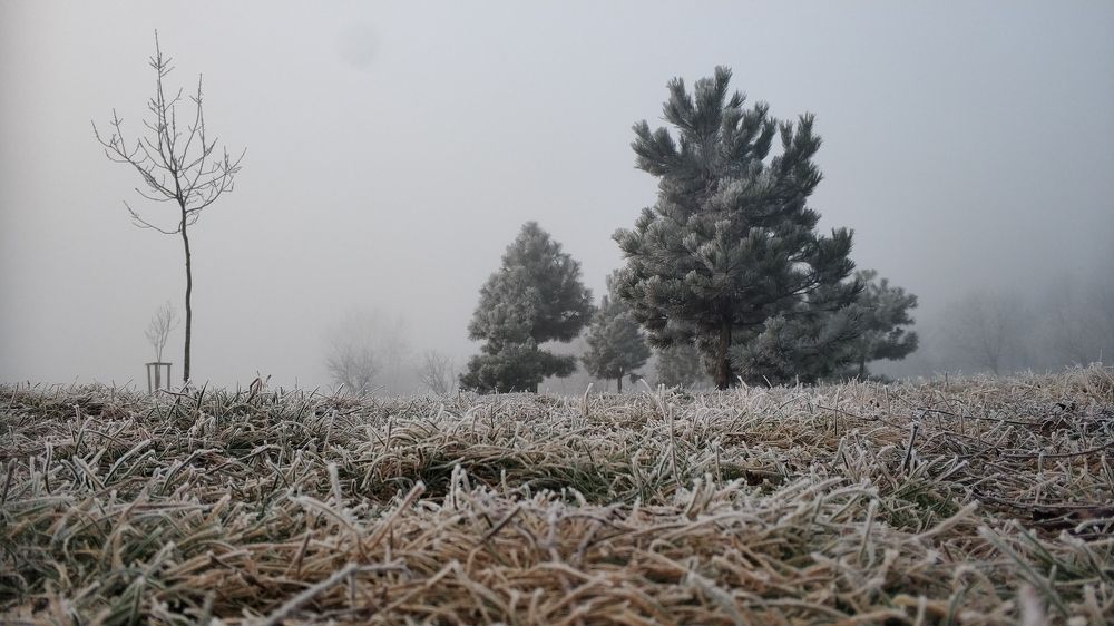 Photograph by Alexander Usenko