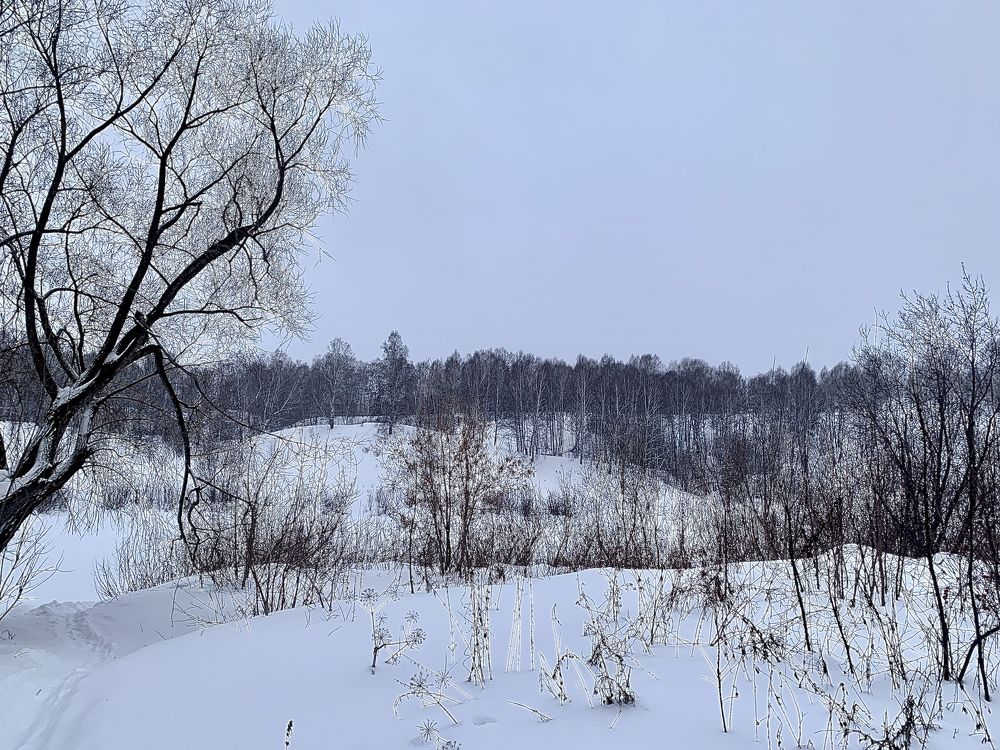 Фотография автора Ксюша Максимова