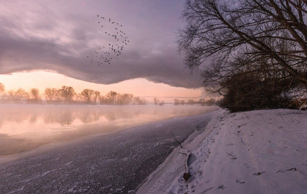 Photograph by Александр Корнейчев