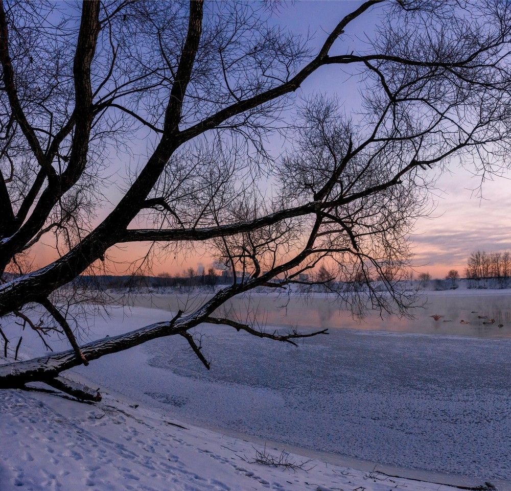 Photograph by Александр Корнейчев