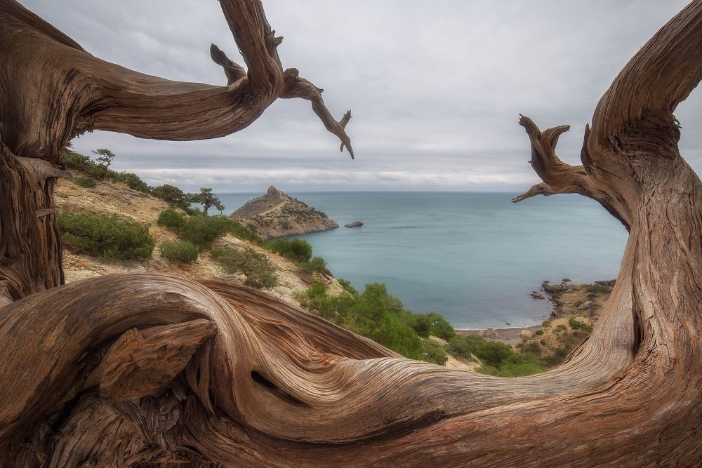 Фотография автора Дмитренко Екатерина