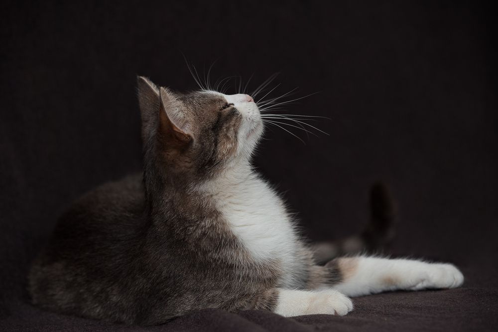 Фотография автора Гордеева Оксана