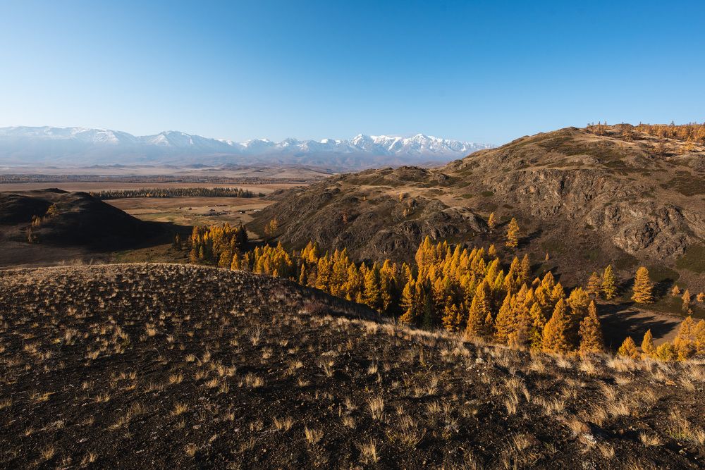 Photograph by Svetlana Zelyanina