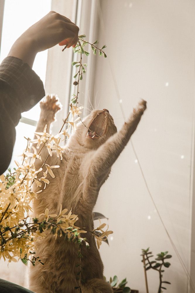 Photograph by Люба Волкова