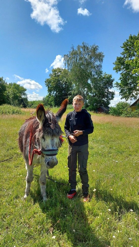 Photograph by ЭЛЬМИРА  ИСМАИЛОВА