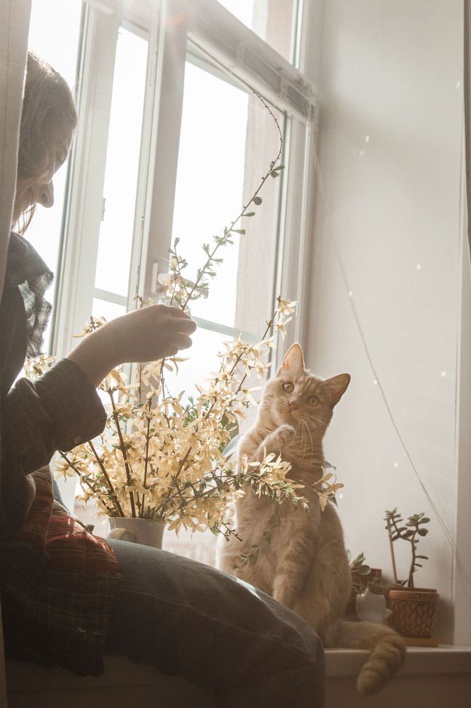 Photograph by Люба Волкова