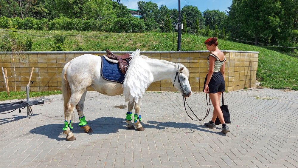 Photograph by ЭЛЬМИРА  ИСМАИЛОВА