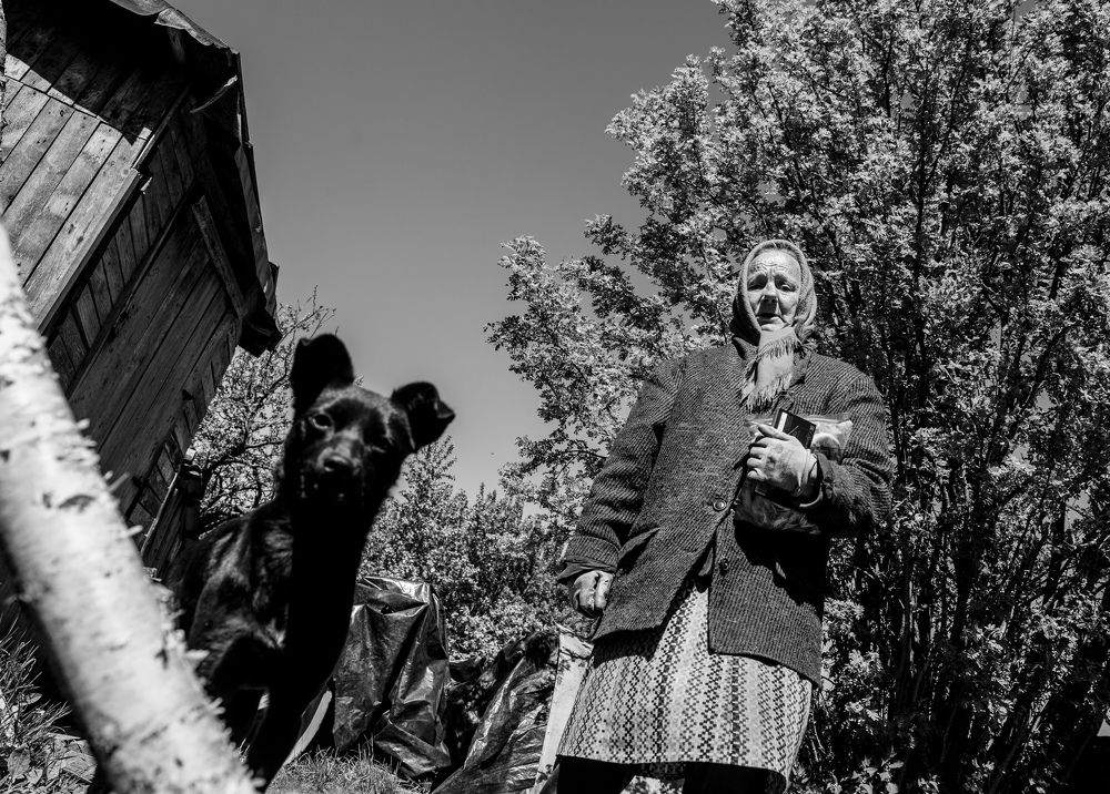 Фотография автора ira bolshakova