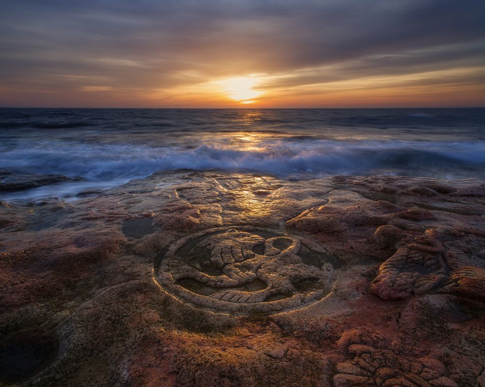 Фотография автора Дмитренко Екатерина