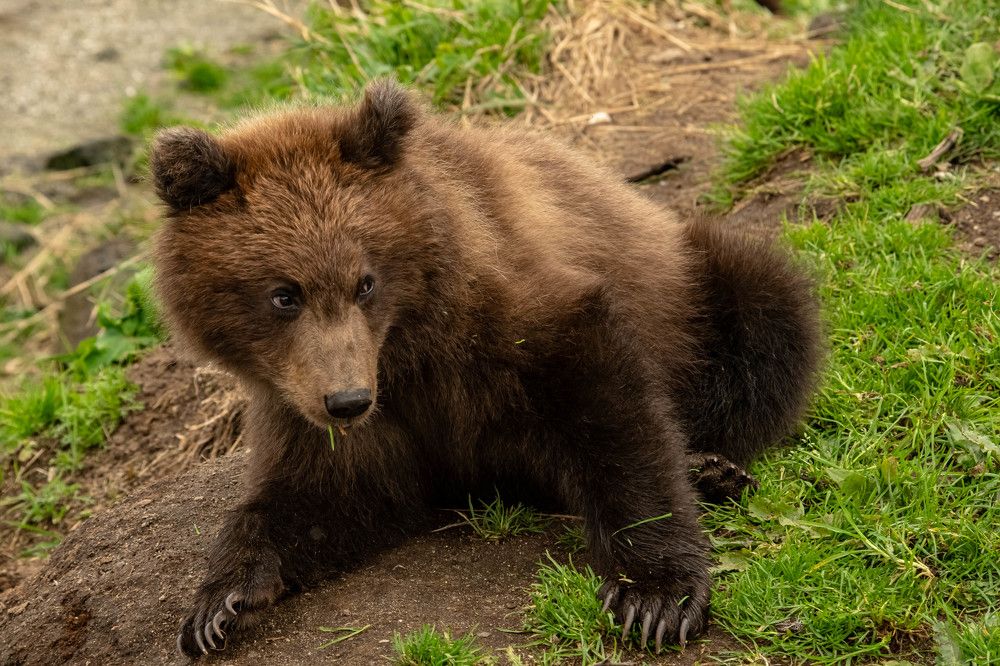 Photograph by Анна