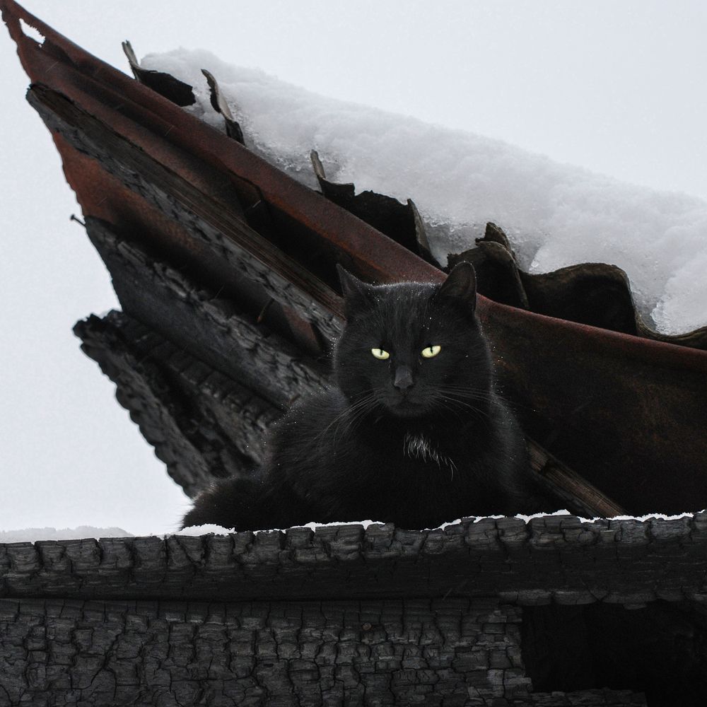 Photograph by Крицак Ольга