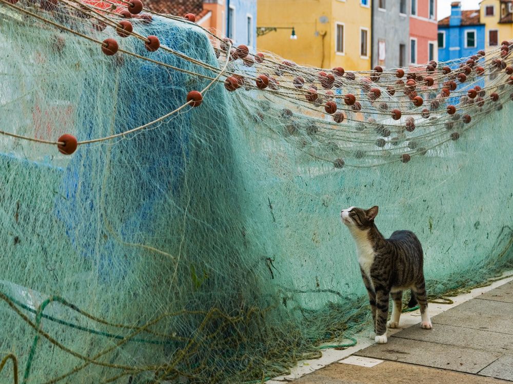 Photograph by Крицак Ольга