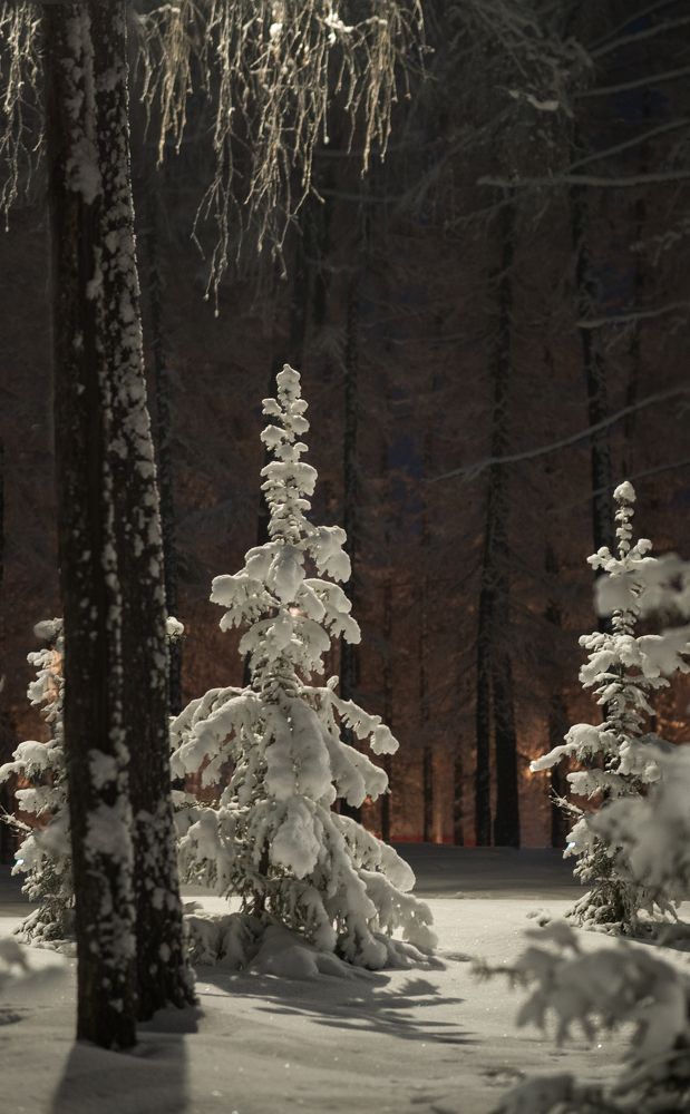 Photograph by Larisa Usova