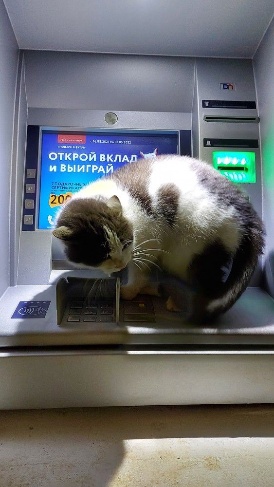 Photograph by ЭЛЬМИРА  ИСМАИЛОВА