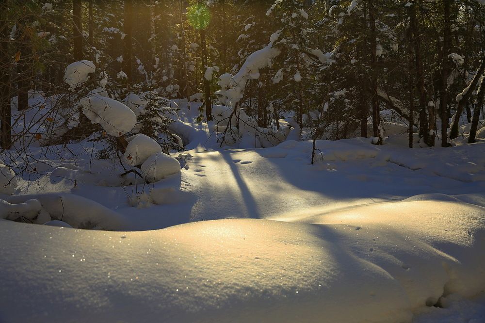 Photograph by VictОr