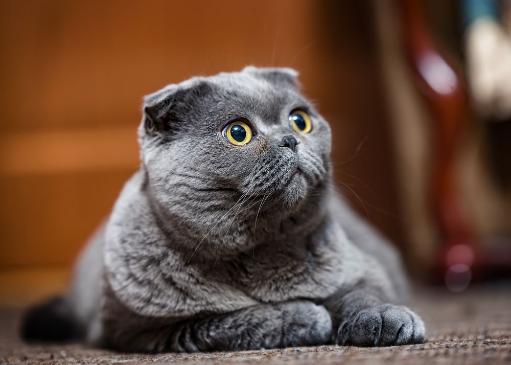 Photograph by Valery Pegushev