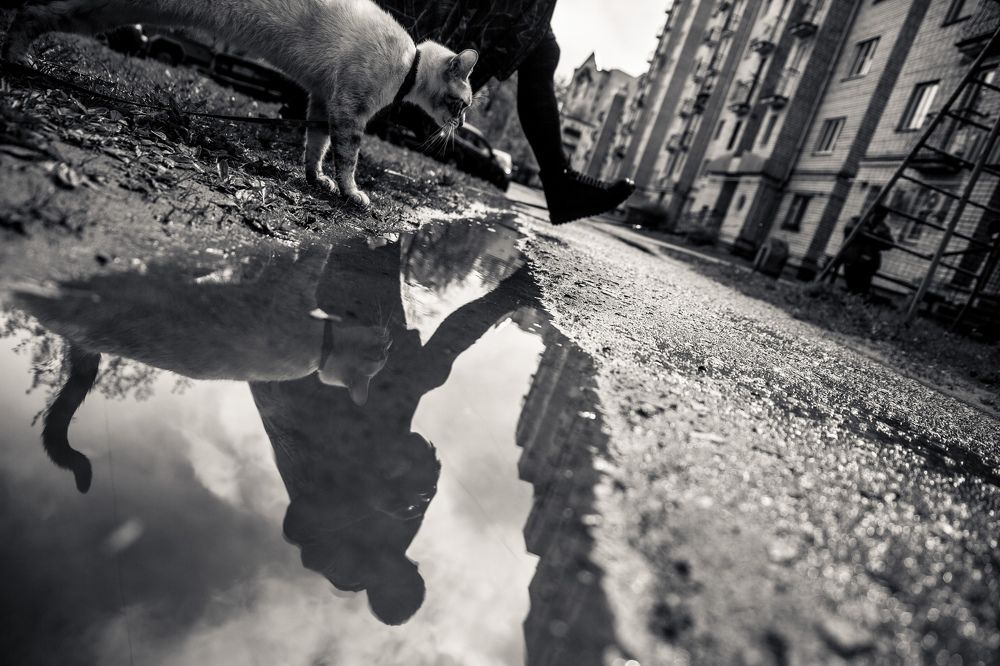 Фотография автора ira bolshakova