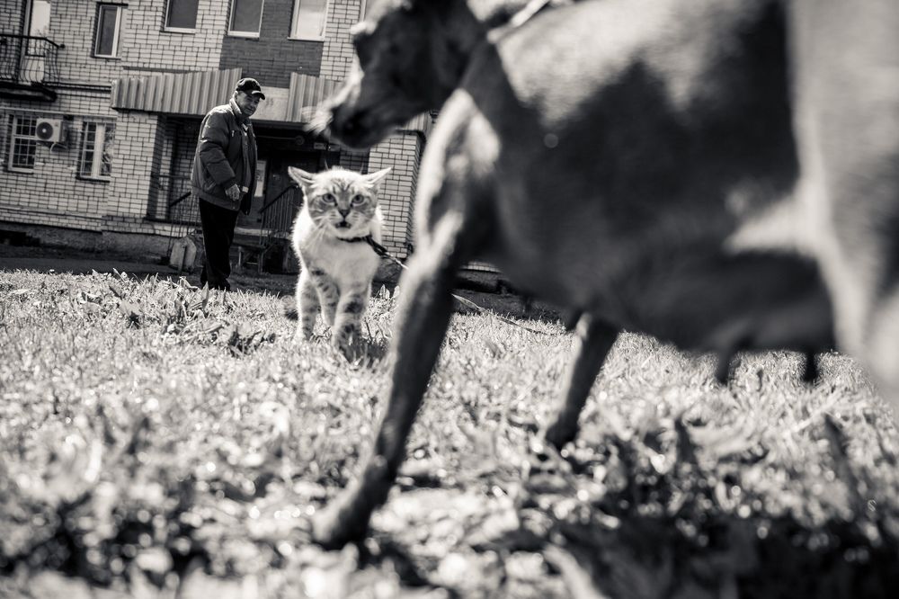 Фотография автора ira bolshakova