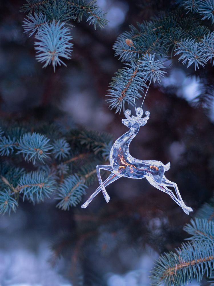 Photograph by Larisa Usova