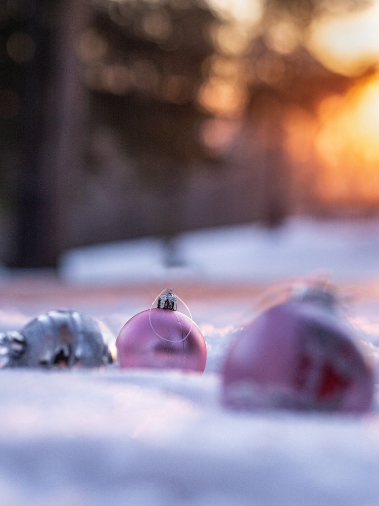 Photograph by Larisa Usova