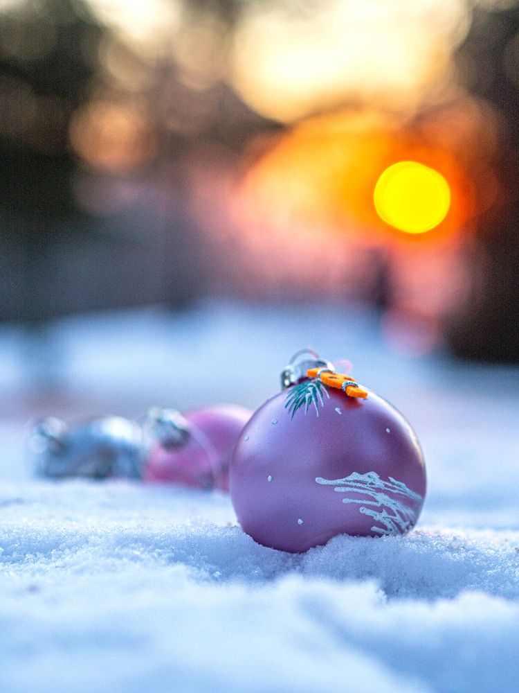 Photograph by Larisa Usova