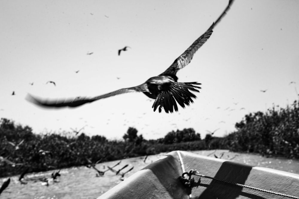 Фотография автора ira bolshakova