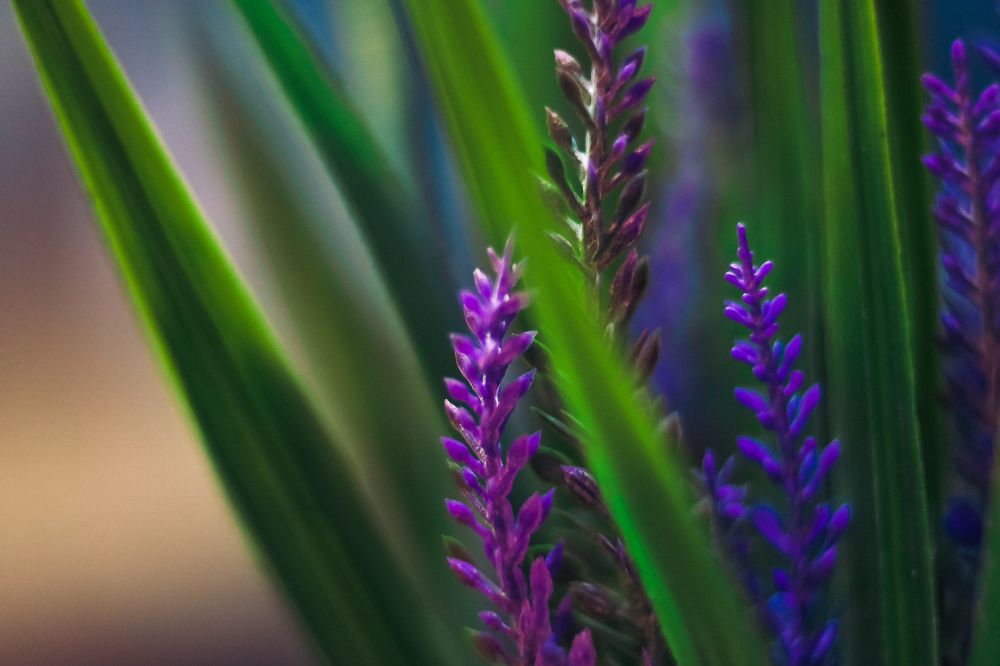 Photograph by Андрей Романов