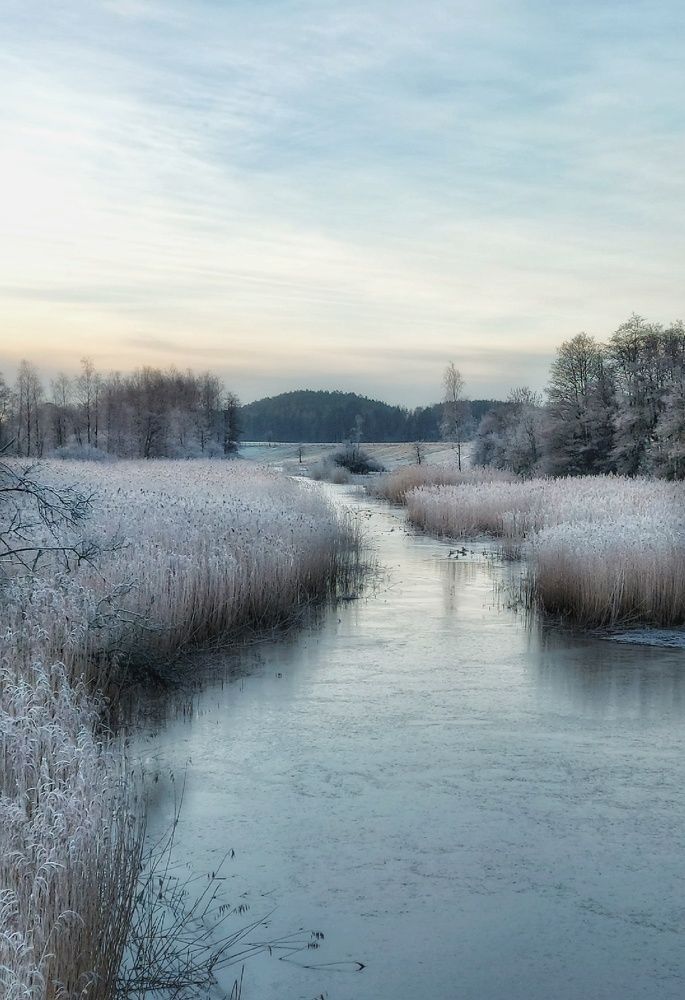 Фотография автора Alina Filimonova