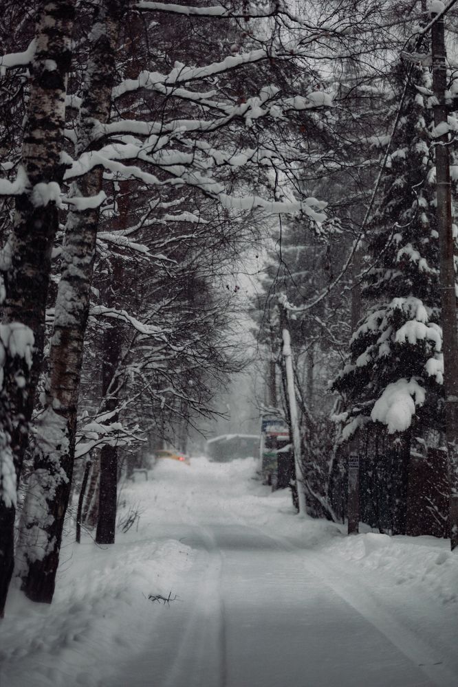 Фотография автора Евгений Величко