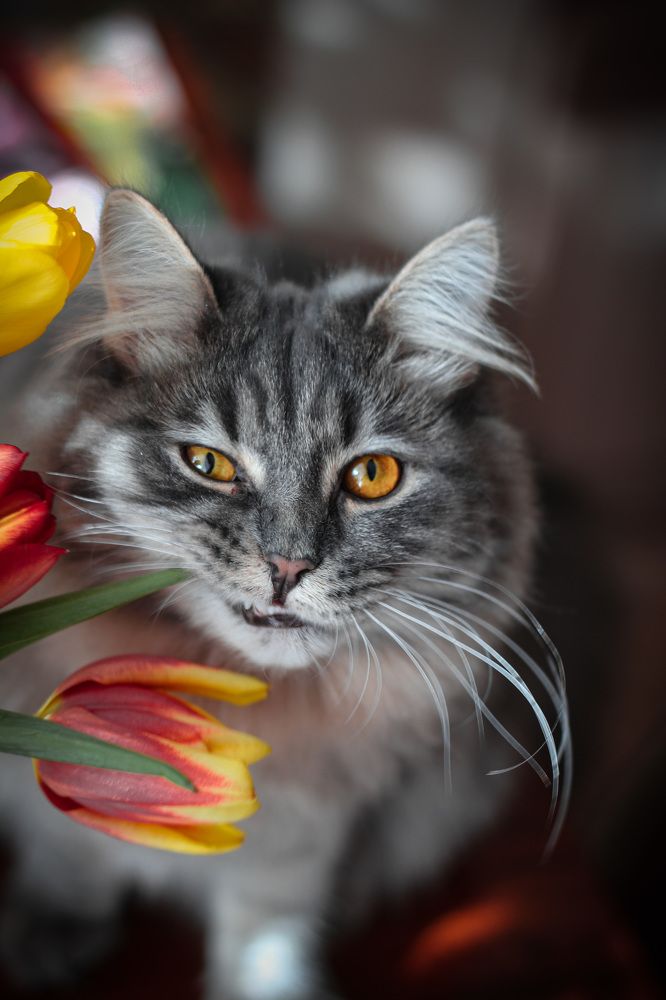 Photograph by Наталья Горохова