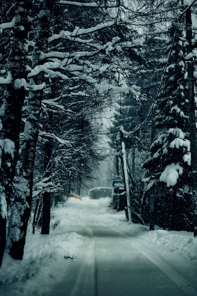 Фотография автора Евгений Величко