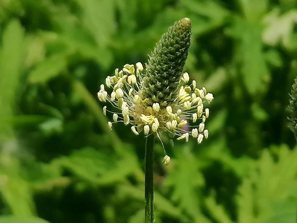 Photograph by Тамара Багровская