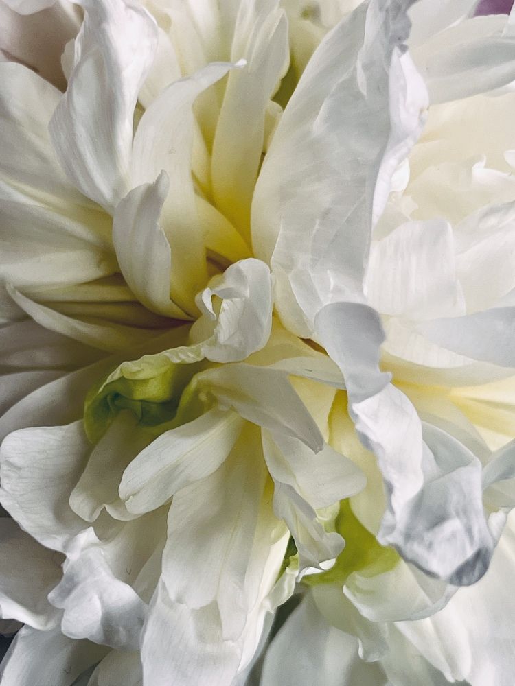 Photograph by Фатима Хуштова