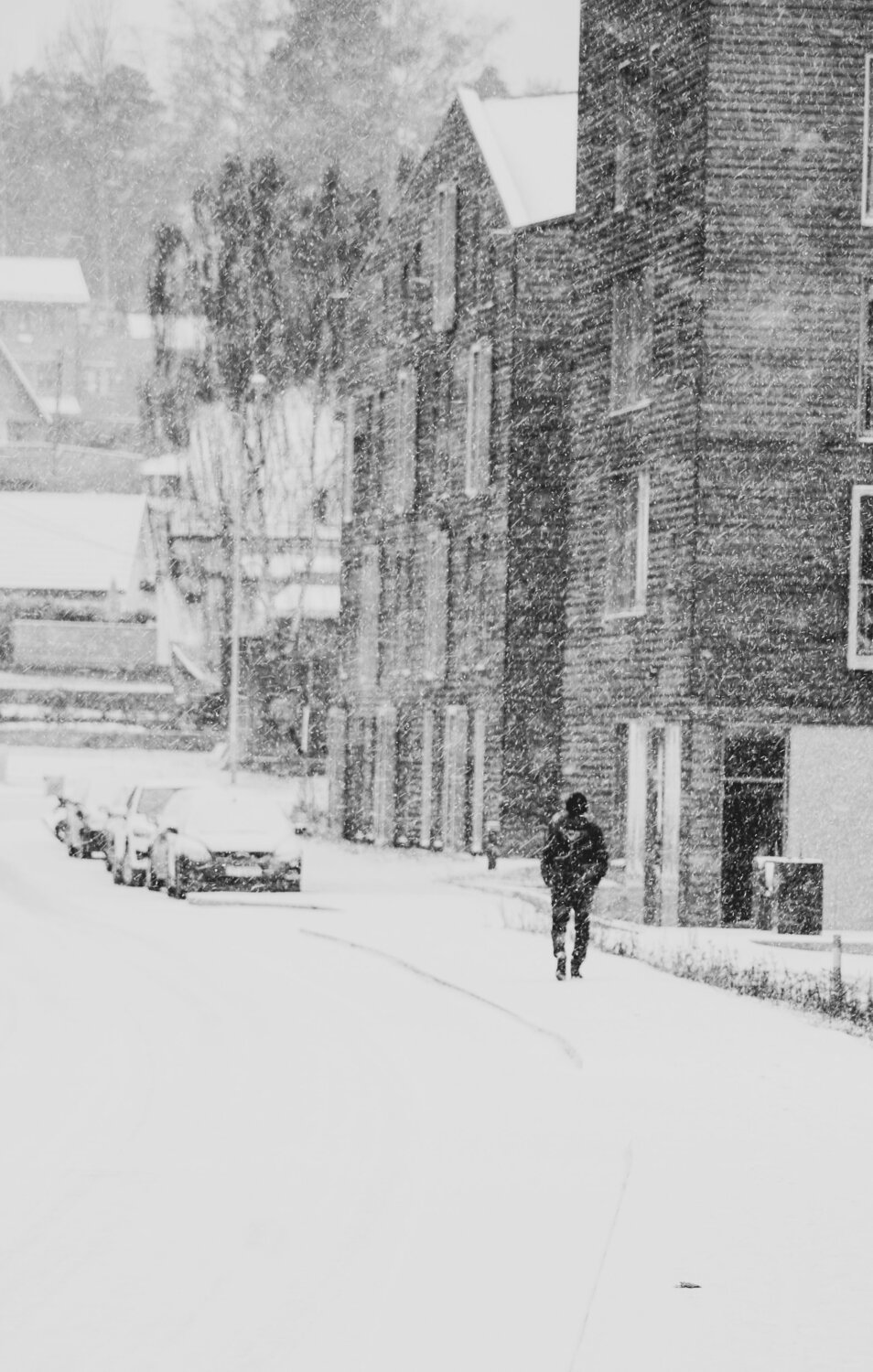 Photo #8728452