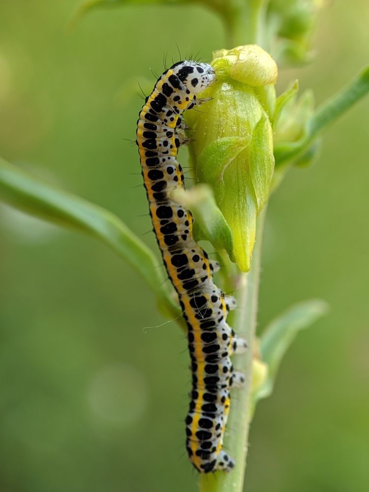 Photograph by Наиль Вафин