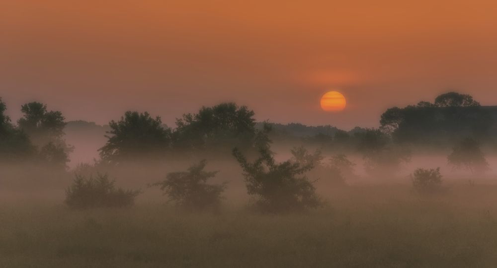 Огненное утро