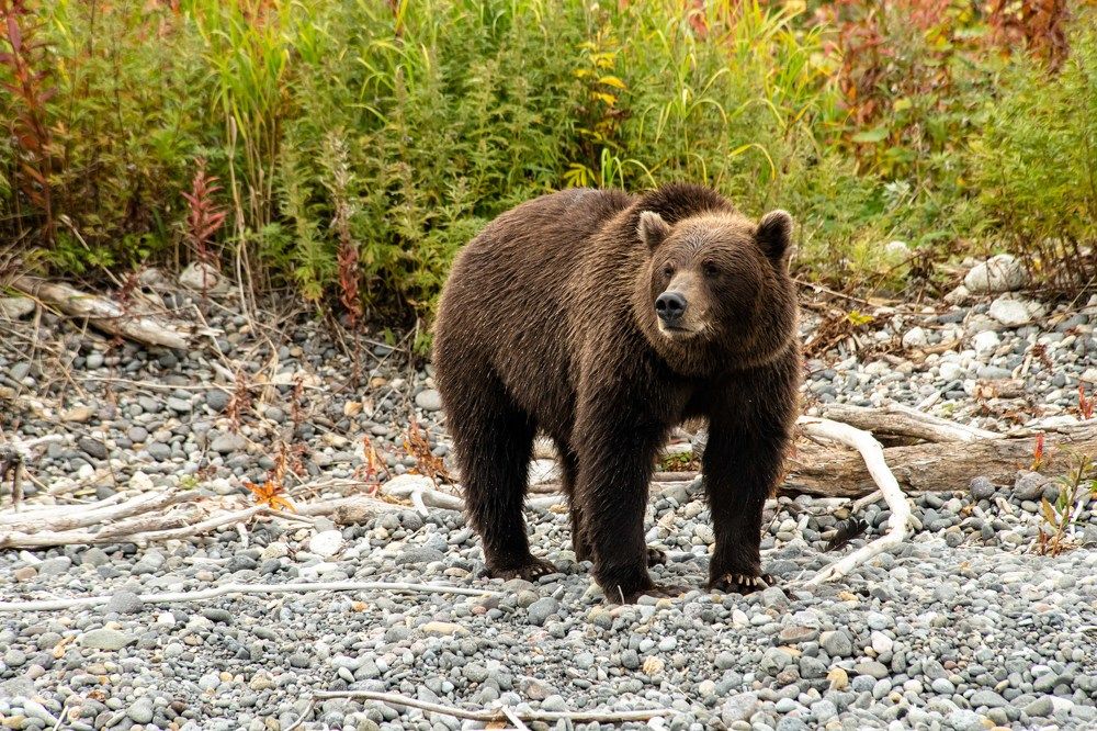 Photograph by Анна