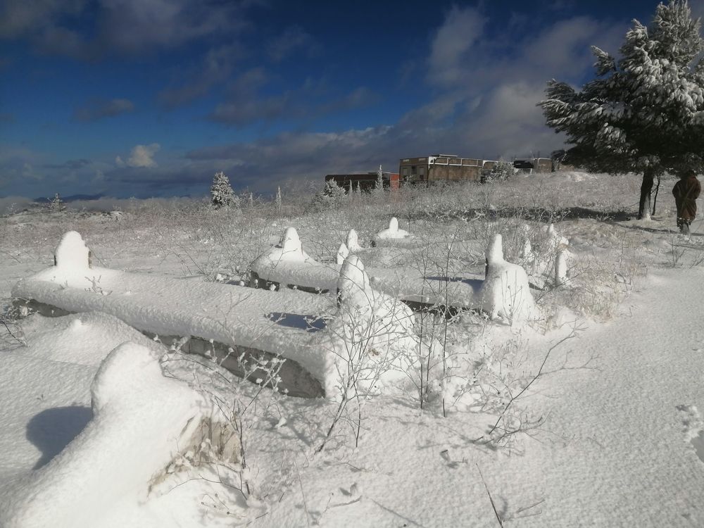 Photograph by DAOUD BENGHOUBA