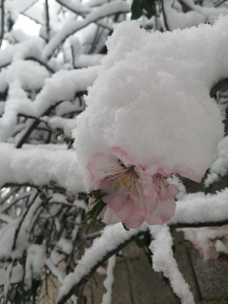 Photograph by DAOUD BENGHOUBA