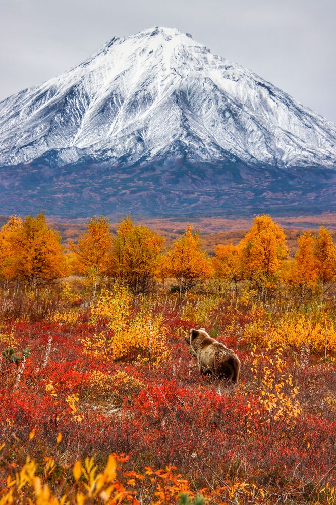 Камчатская осенняя открытка.