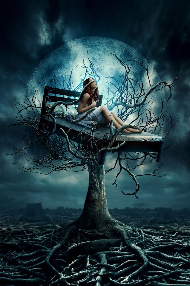 Photograph by Tea Jagodic