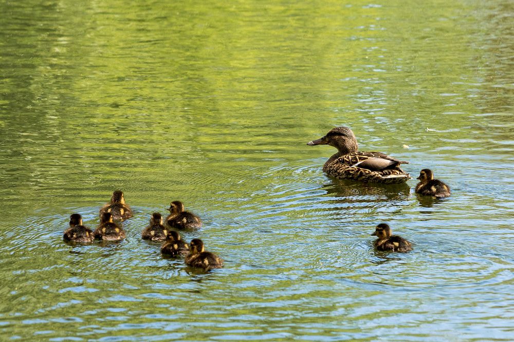 Photograph by Сурков Владимир