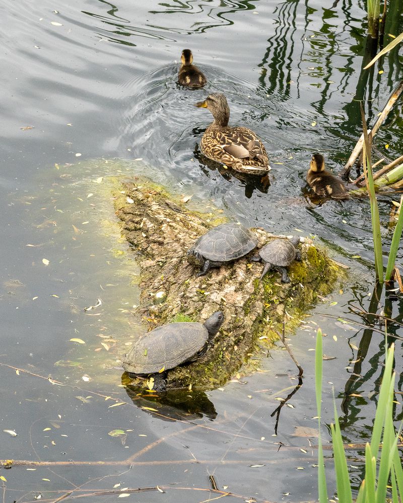 Photograph by Сурков Владимир