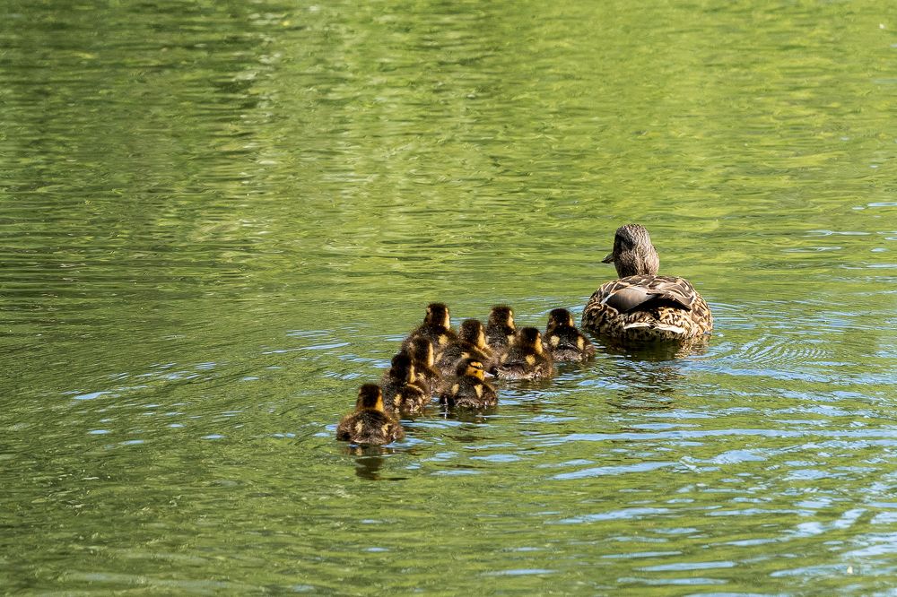 Photograph by Сурков Владимир