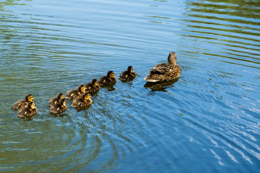 Photograph by Сурков Владимир