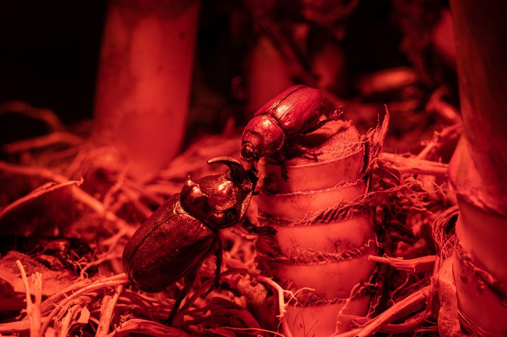 Макро история в расных тонах