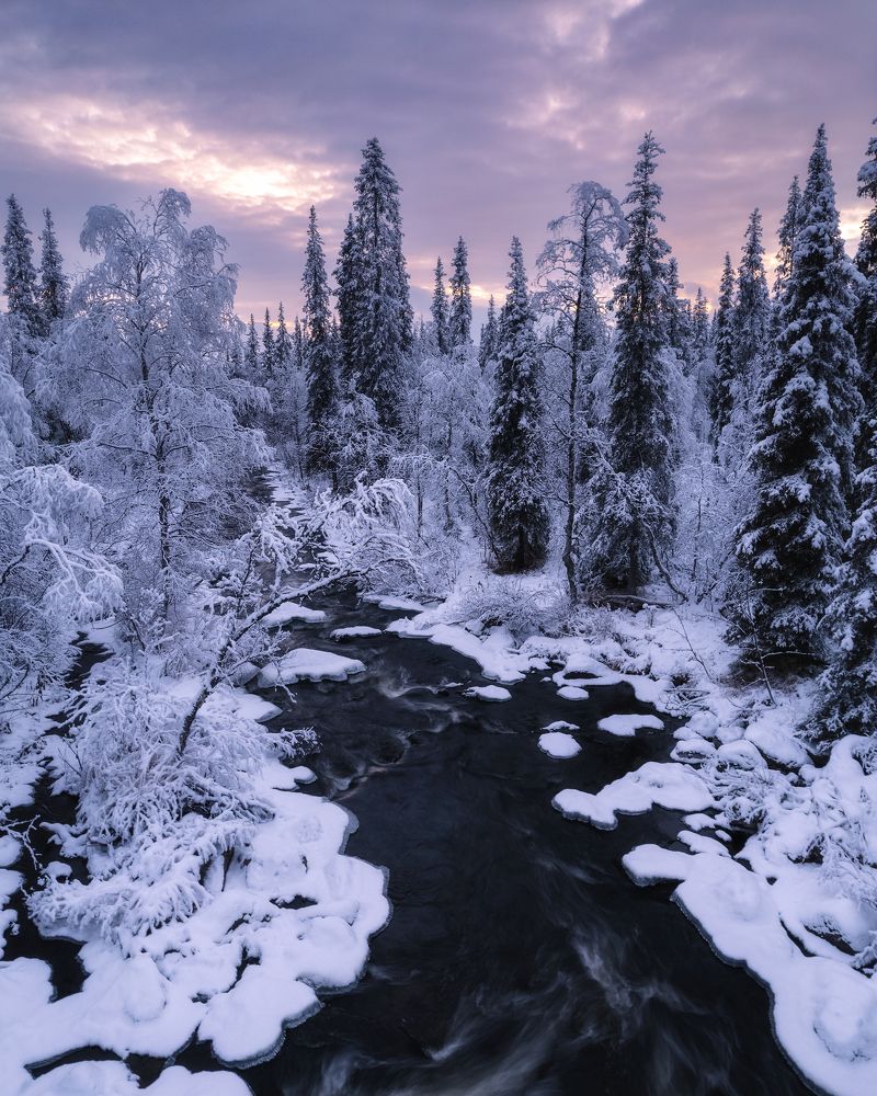Photograph by Елизавета Белоусова