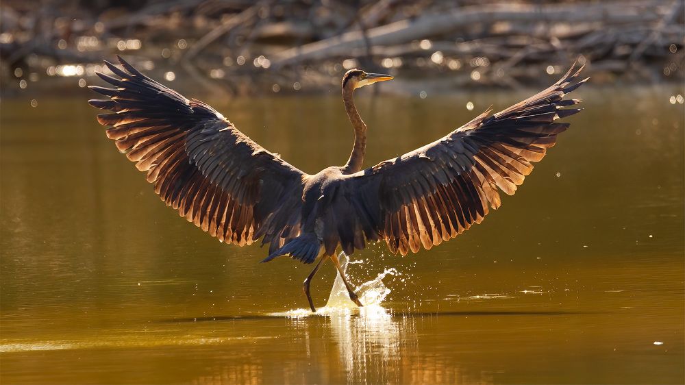 Photograph by Juan Berzunza