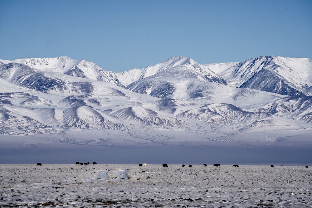Photograph by Андрей Кузнецов