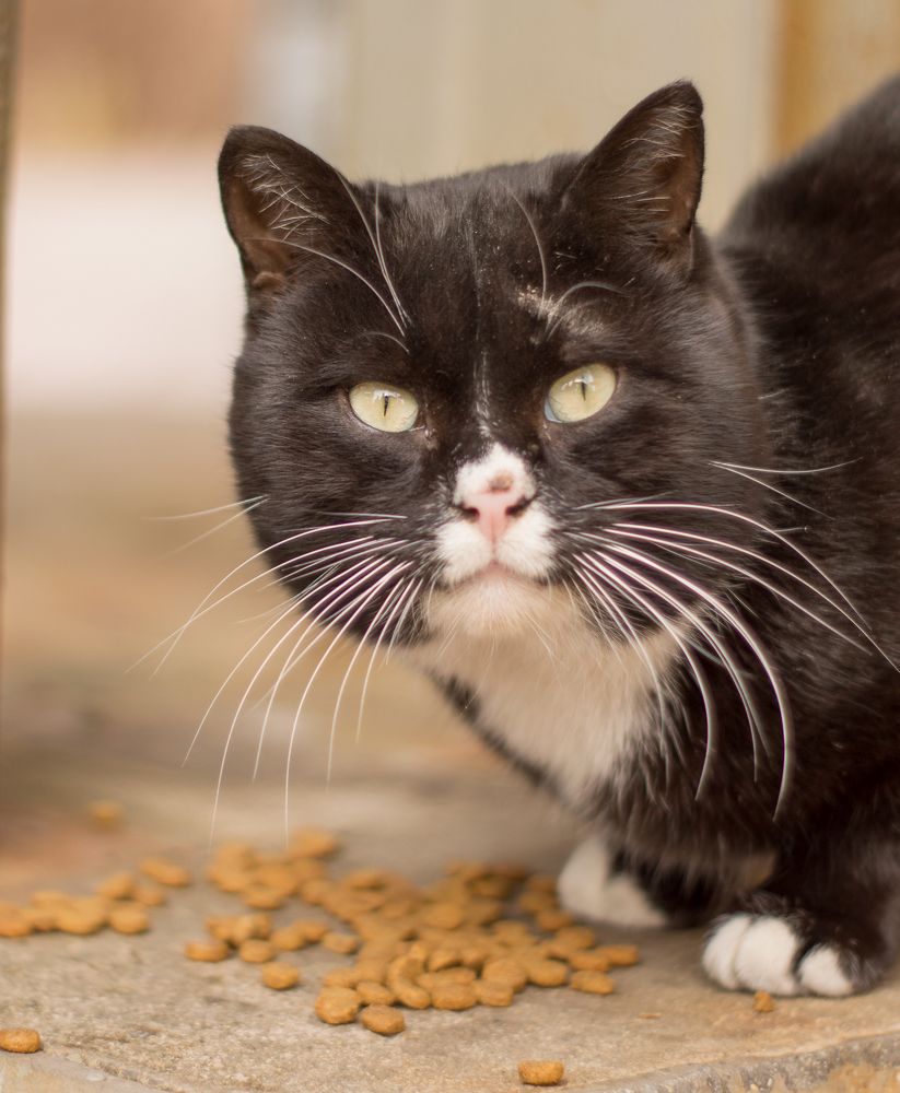 Photograph by Олег Волков